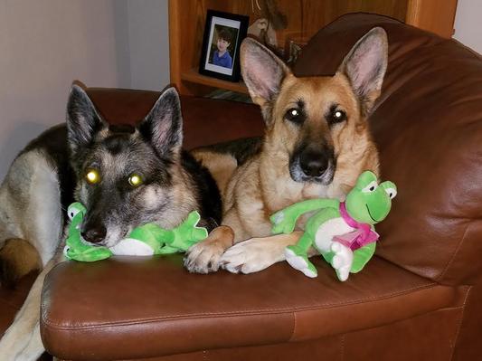 My Gurlz relaxing after their Hero's Bankquet dinner!