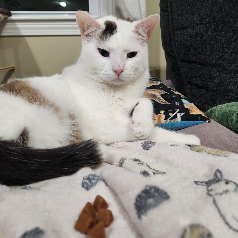 Caz said no thank you