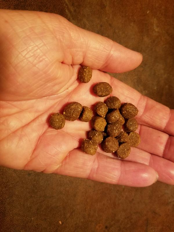 The size of the kibble in my hands.  I would say I have very average sized lady hands.