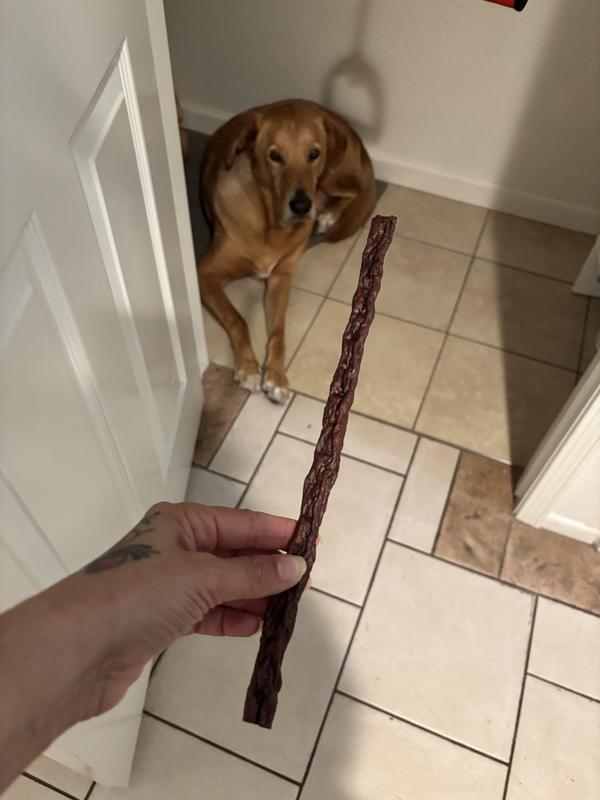 Big even compared to Hank!