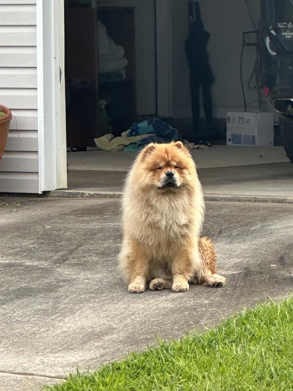 Waiting for delivery truck