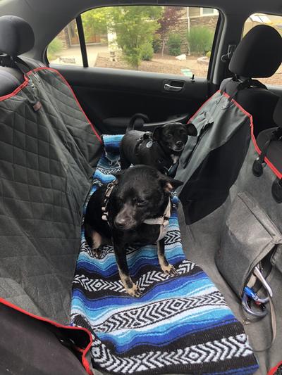 KONG 2-In-1 Car Bench Seat Cover and Hammock for Dogs, Petco