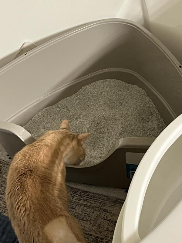 FRISCO MultiCat Unscented Clumping Clay Cat Litter, 20lb bag