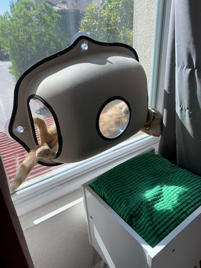 Window bubble clearance pod cat house