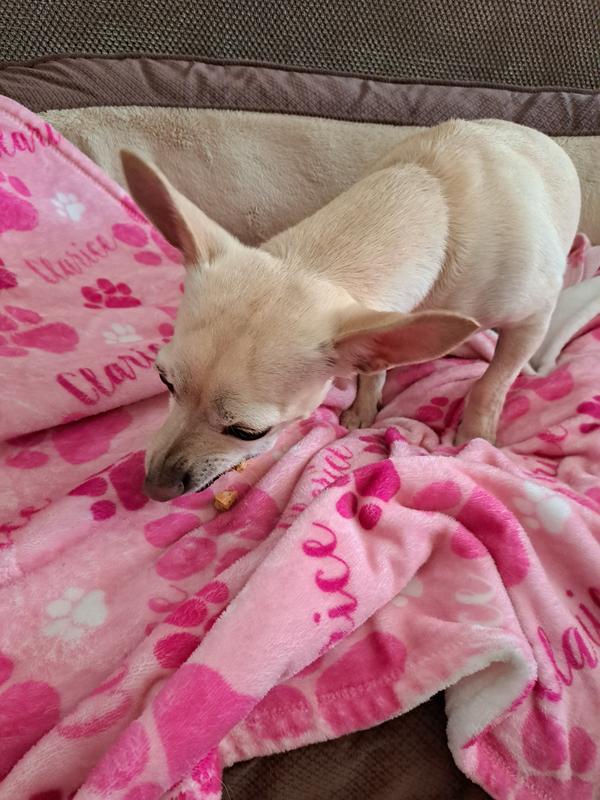 Our sweet girl gobbles them right up!