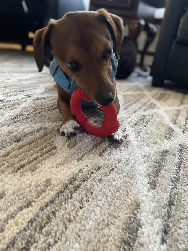Love this chew toy!