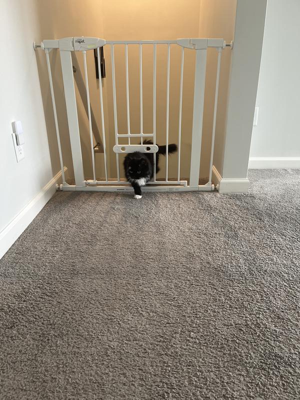 MYPET Wide Walk Through EasyPass Pet Gate 30