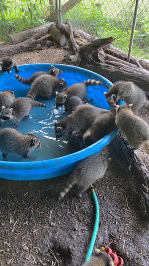 Hey! Do you see any Brown's Whole Peanuts in here??