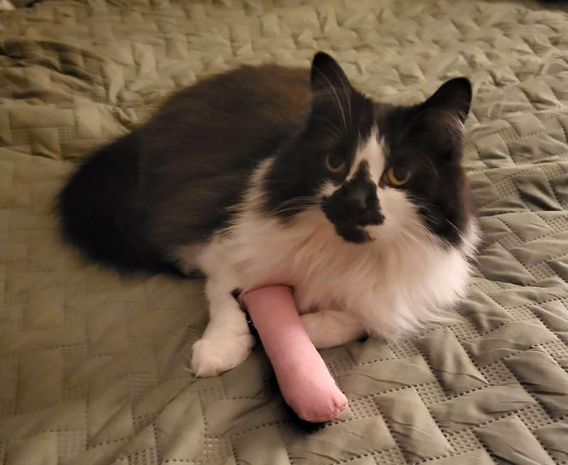 Corona and her pink YEOWWW cigar.