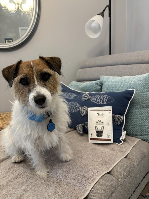 Another great treat from Chewy!