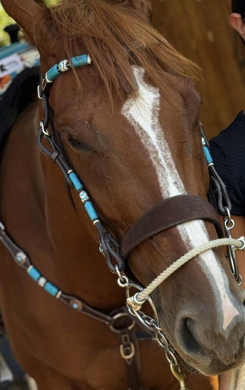 Tiny showing off her headstall
