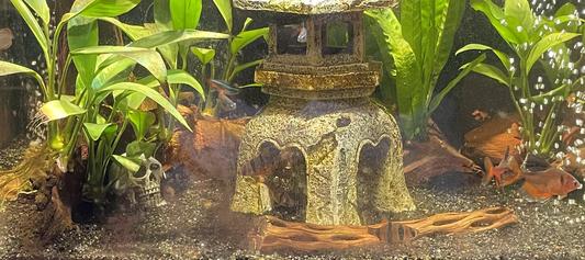 See scull. Its great for this look