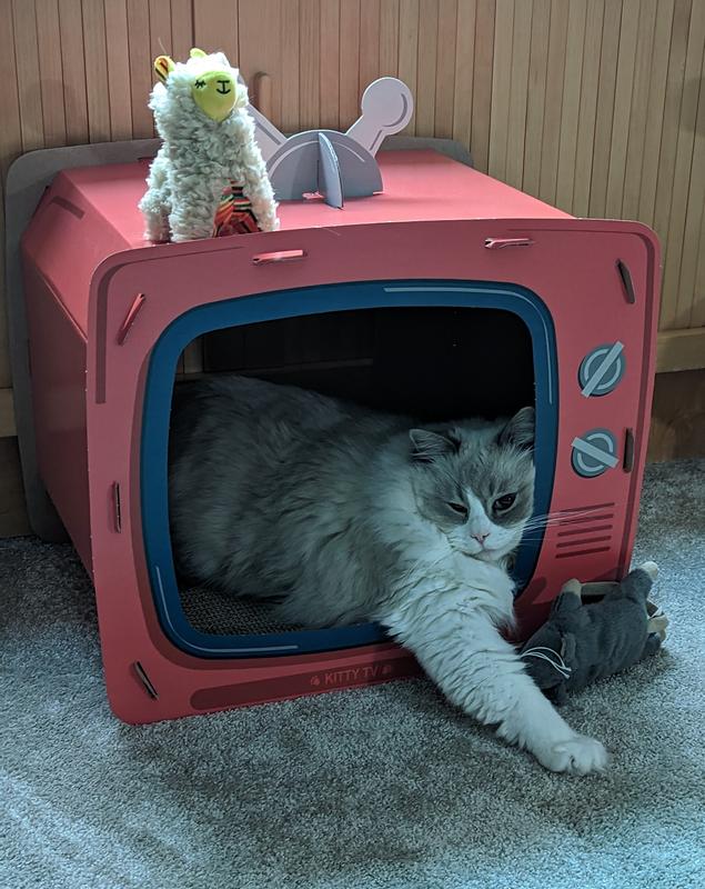 FRISCO TV Set Cardboard Cat House