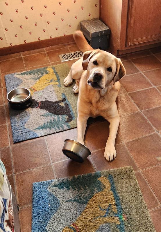 Please give me more of those special treats.