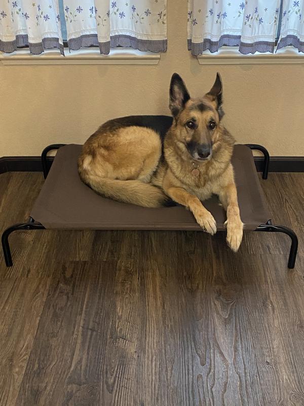 Sturdy and great for lounging up off the cold floor.