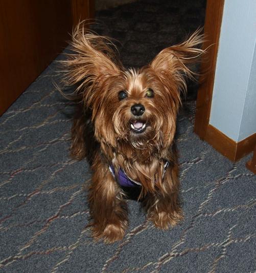 Rocky says " Thanks for taking such good care of me"