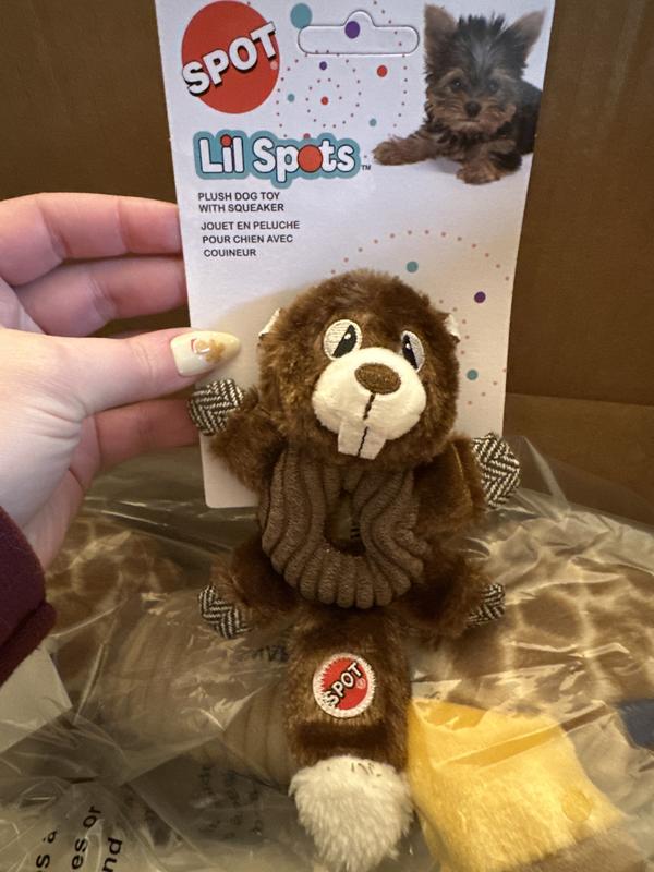 Cute but the $ for just 1?