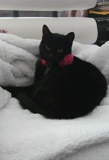 ''Tootie'', my sweet kitty