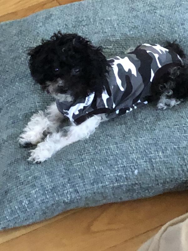 SUITICAL Recovery Suit for Cats, Black Camo, XXSmall