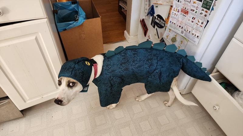 See looks a little peeved.