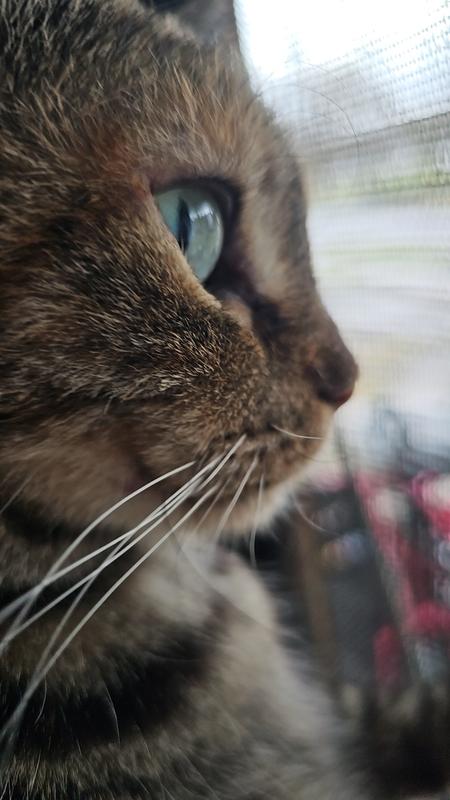 Waiting for Spring allergies...