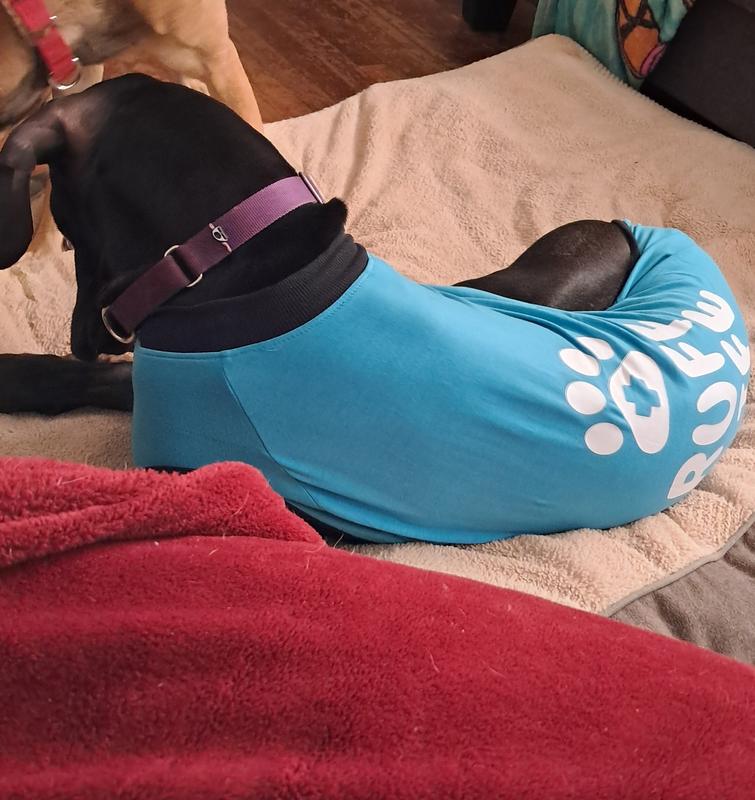 BellyGuard Recovery Suit Post-Surgery Dog Onesie, Blue