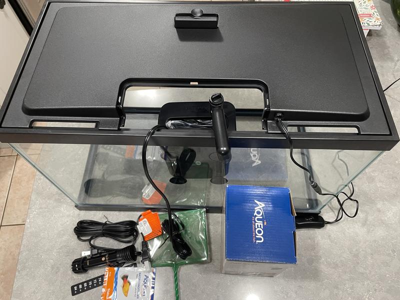 Feeding port and bright lights