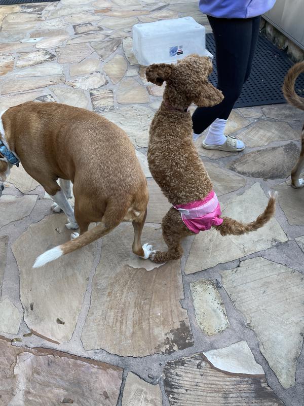 She got used to them very quickly!