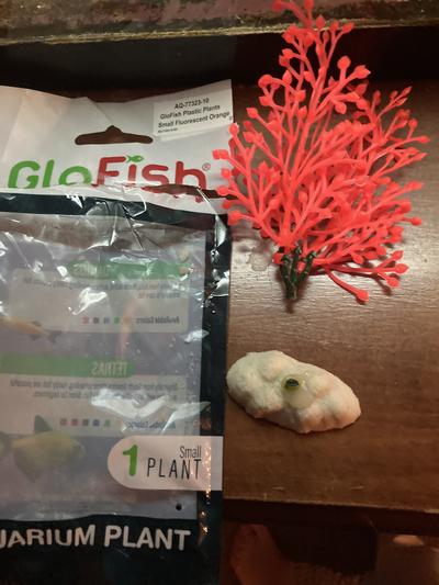 Dainty plant base attachment