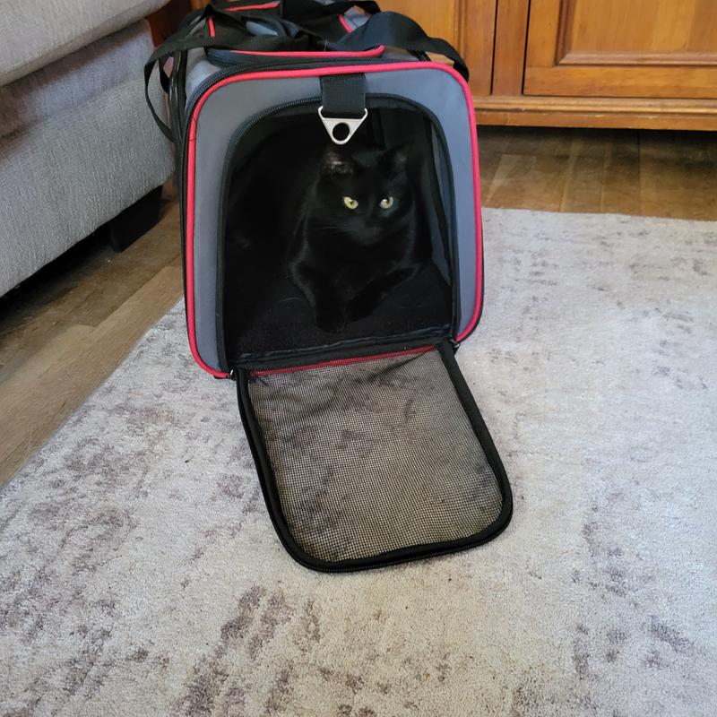 JESPET SoftSided AirlineApproved Travel Dog & Cat Carrier, Gray/Red