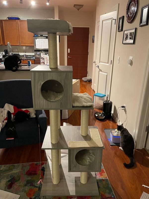 FRISCO 62-in Modern Cat Tree & Condo, Natural - Chewy.com