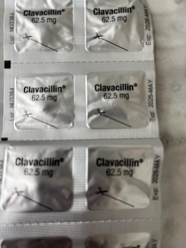 Actual prescription that came in plastic bag….no Clavamox box and