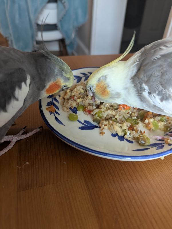 My tiels digging in!
