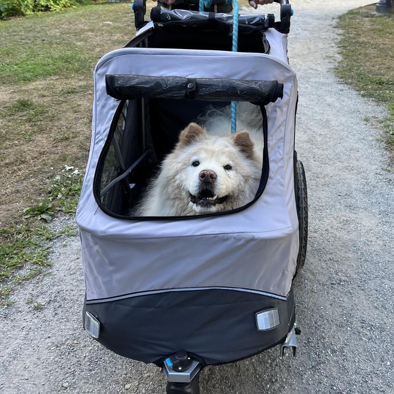 Front view pushing trailer