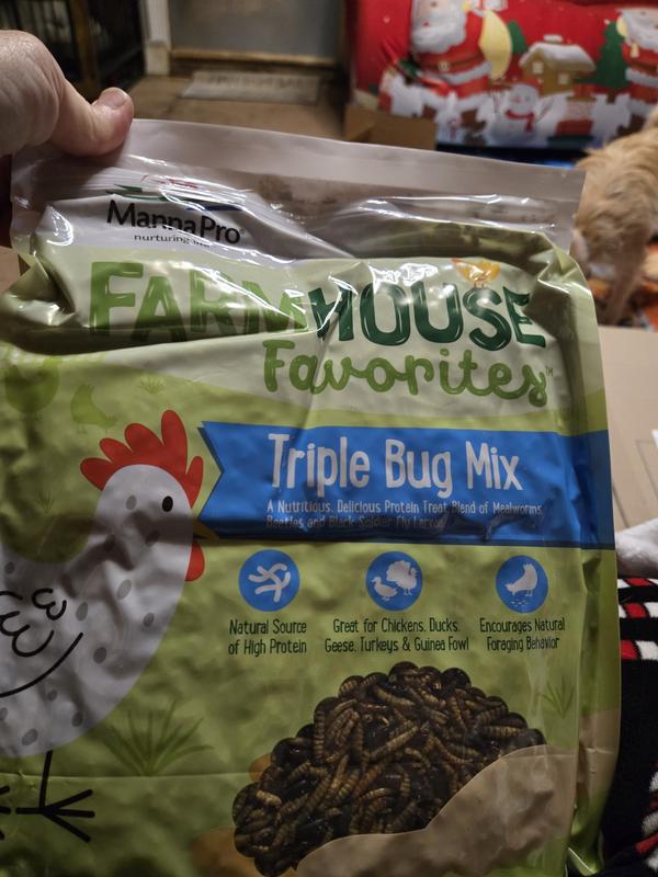 MANNA PRO Farmhouse Favorites Triple Bug Mix Chicken Treats, 2-lb bag ...