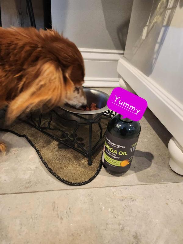 Stone eating his dinner with added Omega Plus Oil