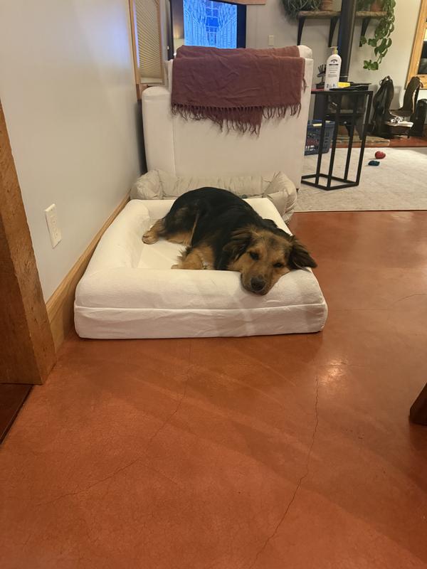 Booker loves his bed