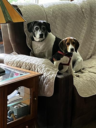 Waiting for Dinner