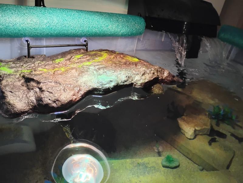 Works for my turtle... so far