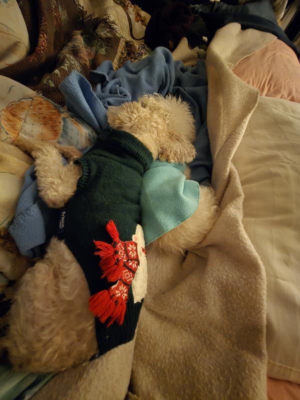 Louis and hi brother