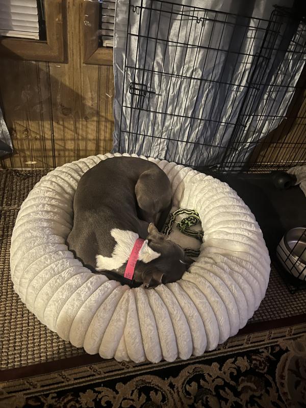 Curled up, snug as a bug.