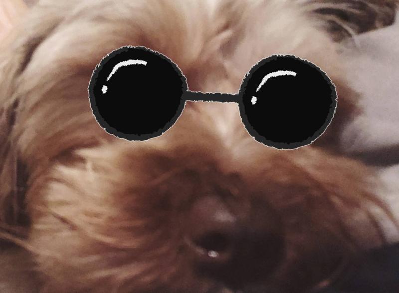 Fun loving and hilarious