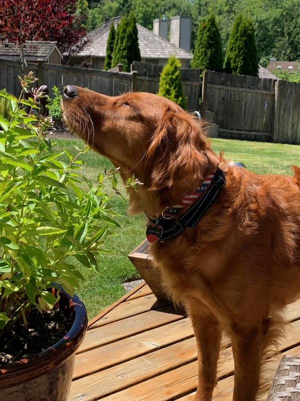 ms. Ruby Rae in her glory!