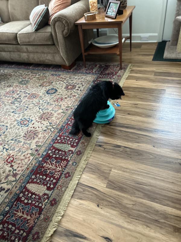 On top of the toy to get the right angle!