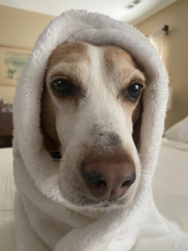 Post-bath