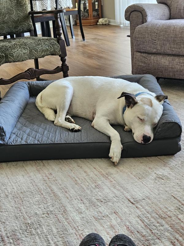 He likes to have a pillow that is why I chose this one.