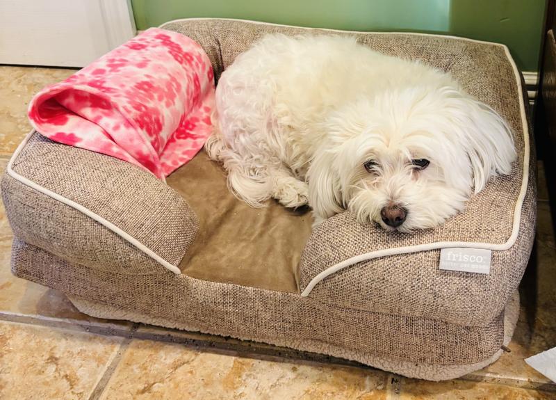 Great! Well worth the money!