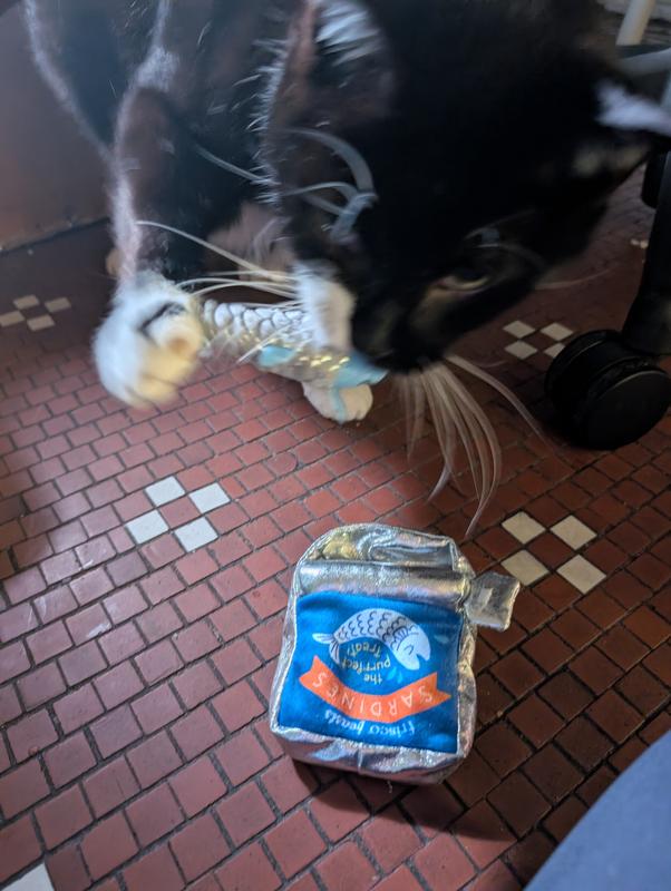 Hattie nibbling