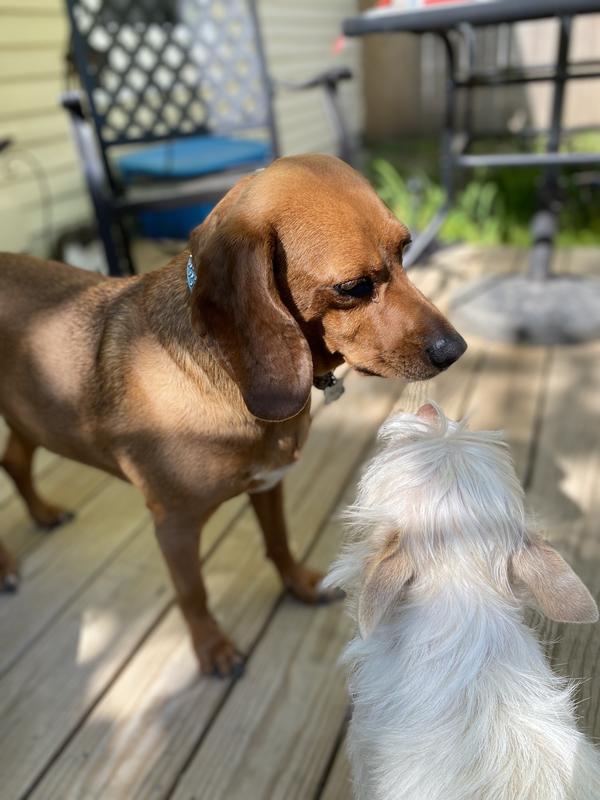 Charlie being Charlie ♥️