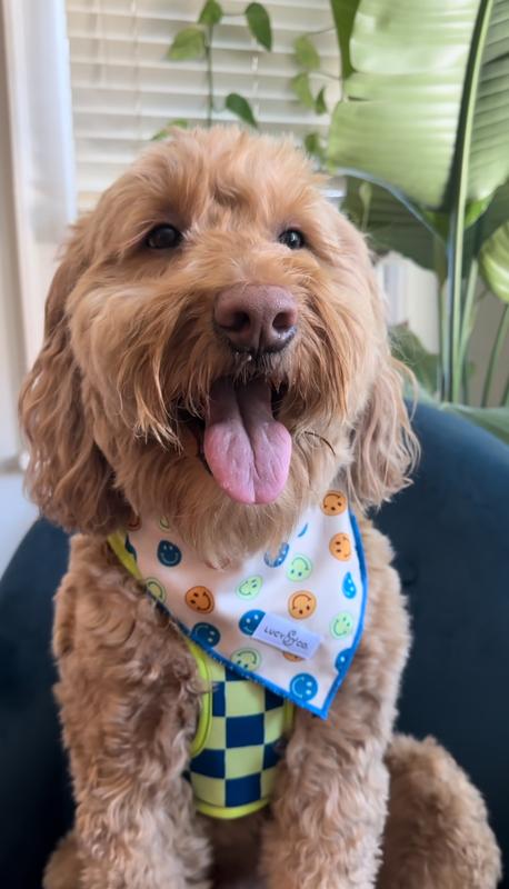 Smiles all day long!